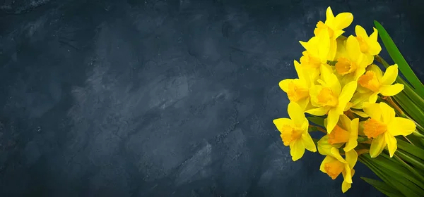Fundo Grunge panorâmico com flores de narcisos amarelos — Fotografia de Stock