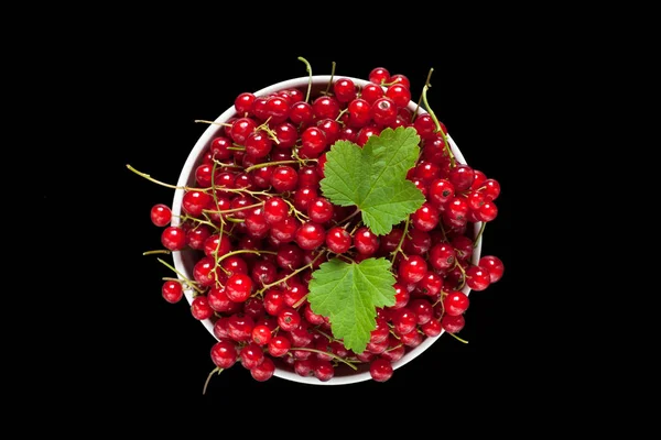 Cuenco blanco con bayas de grosella roja aisladas sobre fondo negro — Foto de Stock