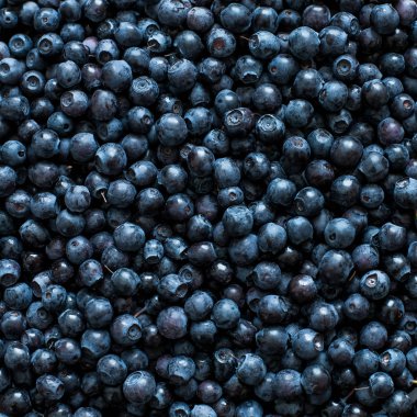 Taze yaban mersini çilek Kare Arka Plan, yakın