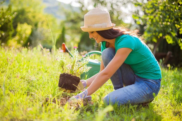 Joven Mujer Feliz Está Plantando Una Flor Jardín — Foto de Stock