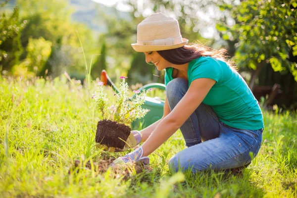 Ung Glad Kvinde Planter Blomst Sin Have - Stock-foto