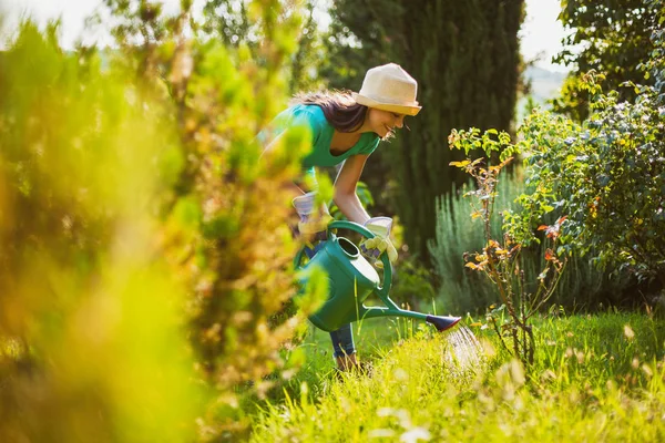 Молодая Женщина Своем Саду Поливает Растения — стоковое фото