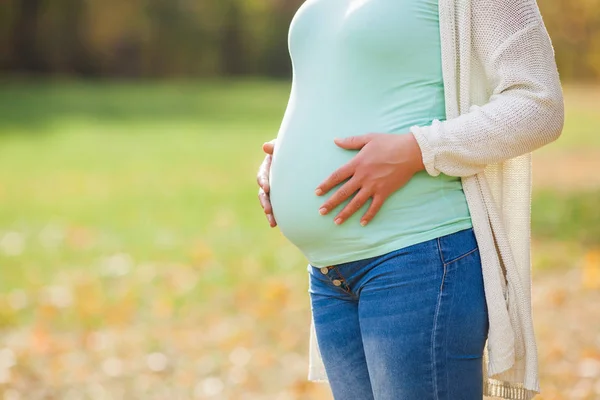 Nahaufnahme Einer Schwangeren Frau Die Ihren Bauch Park Hält — Stockfoto