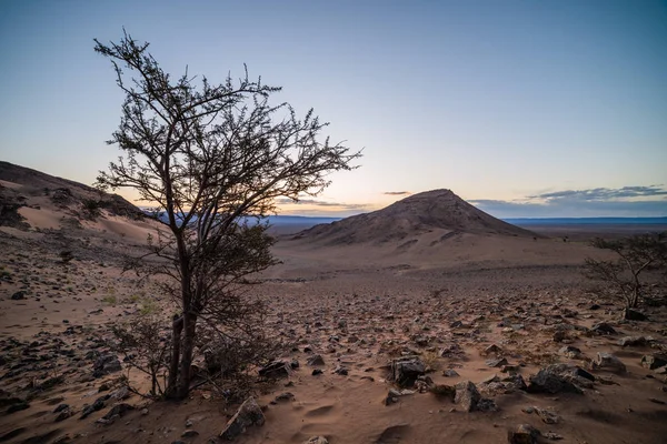 Paisaje Desierto Del Sahara — Foto de Stock