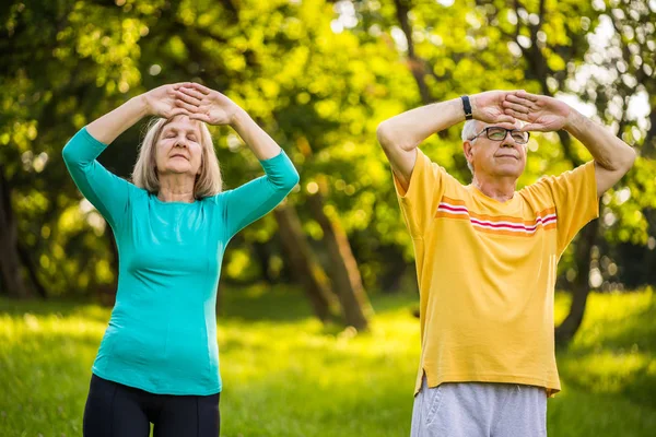 Casal Sênior Está Desfrutando Exercício Tai Chi Parque — Fotografia de Stock