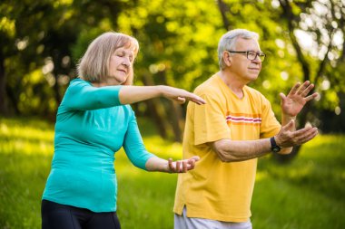 Yaşlı çift parkta Tai Chi egzersiz tadını çıkarıyor.
