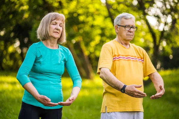 Casal Sênior Está Desfrutando Exercício Tai Chi Parque — Fotografia de Stock