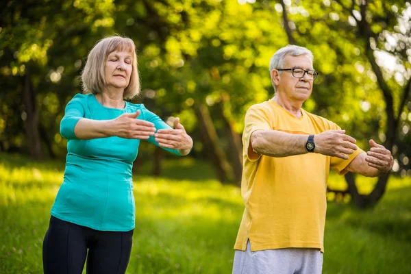 Yaşlı çift parkta Tai Chi egzersiz tadını çıkarıyor.