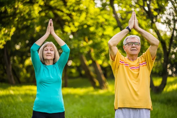 Casal Sênior Está Meditando Parque — Fotografia de Stock