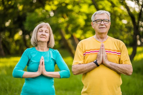 Casal Sênior Está Meditando Parque — Fotografia de Stock