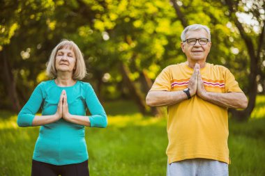 Yaşlı çift parkta meditasyon.
