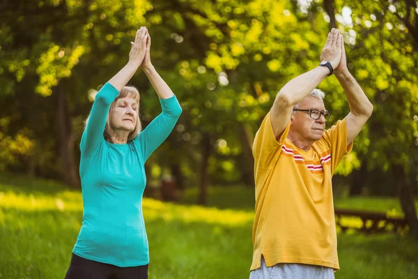 Pareja Mayor Está Meditando Parque — Foto de Stock