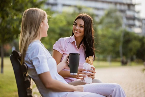 Two Business Colleagues Sitting Park Talking Break — Stock Photo, Image