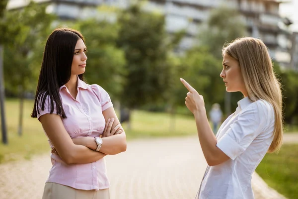 Colleghi Lavoro Stanno Discutendo Nel Parco Pausa — Foto Stock