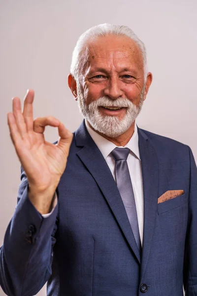 Portret Van Een Gelukkige Succesvolle Senior Zakenman — Stockfoto