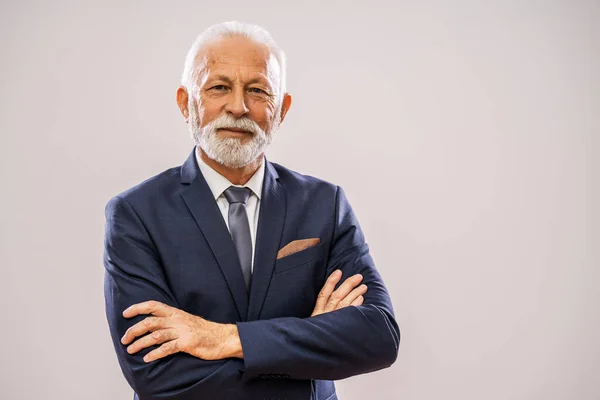 Retrato Empresário Sênior Feliz Bem Sucedido — Fotografia de Stock