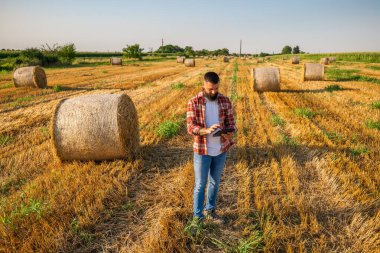 Çiftçi saman balyalarının yanında duruyor. Hasadı başarıyla tamamladıktan sonra samanı inceliyor..