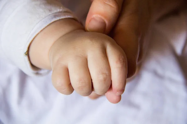 Die bloße Hand von Baby 3 — Stockfoto