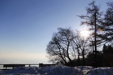 Ağaçların arasından güneş