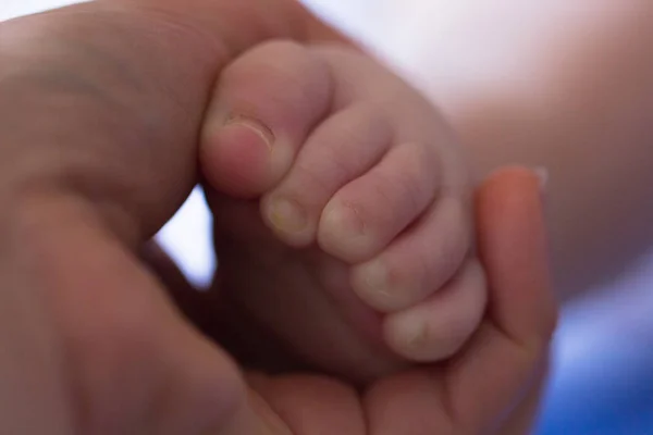 Der Fuß eines Neugeborenen — Stockfoto