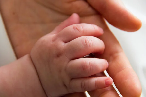 Hand newborn — Stock Photo, Image