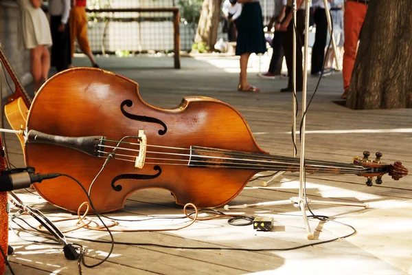 Kontrbas kontrbas rustik ahşap zemin üzerinde.