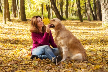 Güzel bir kadın ile bir golden retriever köpek sonbahar Park