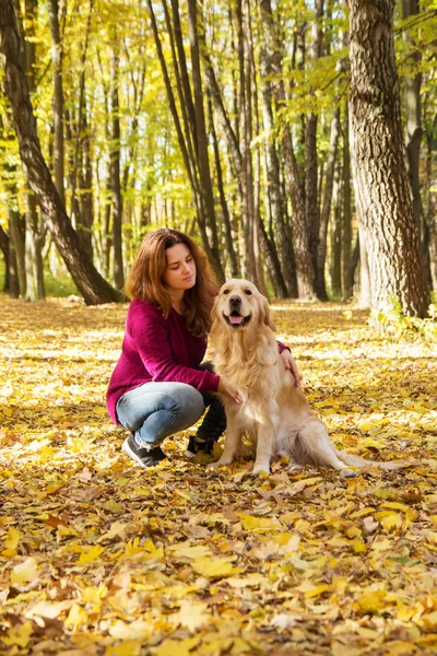Schöne Frau mit Golden Retriever-Hund im Herbstpark — Stockfoto