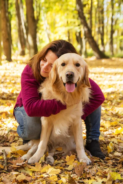 Красивая женщина с золотой собакой-ретривером в осеннем парке Стоковое Изображение