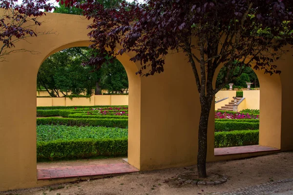 Giardino Cerco Faceva Parte Dei Giardini Del Palazzo Nazionale Mafra — Foto Stock