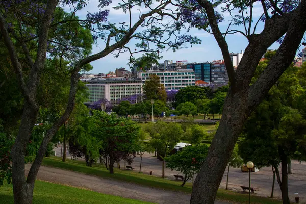 Veduta Del Parque Eduardo Vii Nel Centro Lisbona Lisbona Portogallo — Foto Stock