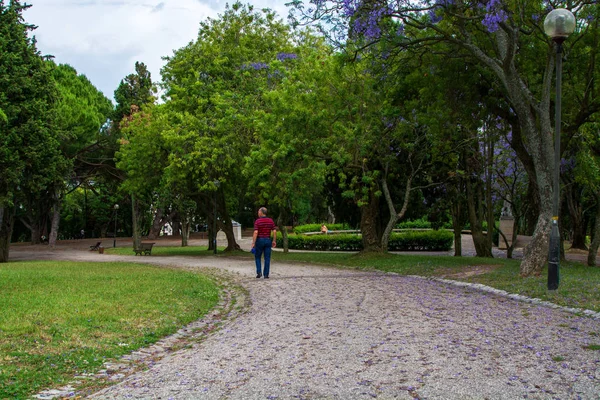 Λισαβόνα Πορτογαλία Ιουνίου 2018 Προβολή Του Parque Eduardo Vii Στο — Φωτογραφία Αρχείου