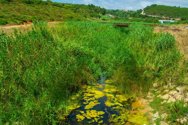 Ribeira Ilhas Vallei Ericeira Dorp Ericeira Portugal — Stockfoto