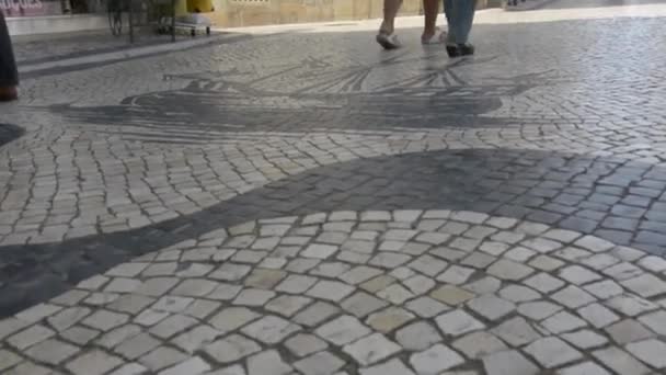 Promenade Portugaise Avec Bateau Caravel Padron Ericeira Portugal — Video