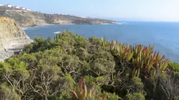 Ericeira Portugal Agosto 2018 Vista Del Sitio Surf Cueva Pueblo — Vídeo de stock