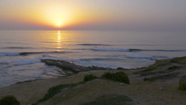 Ericeira Portugal Agosto 2018 Vista Del Lugar Surf Del Arrecife — Vídeo de stock