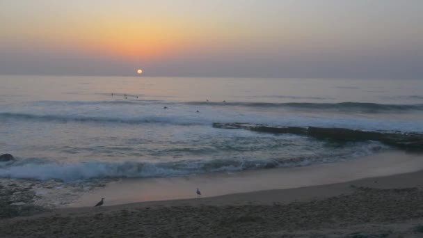 Ericeira Portugal Agosto 2018 Vista Del Lugar Surf Del Arrecife — Vídeo de stock