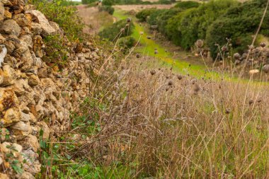 kaya duvarları ve çim yeşil yol blury geri kırsal arka planda