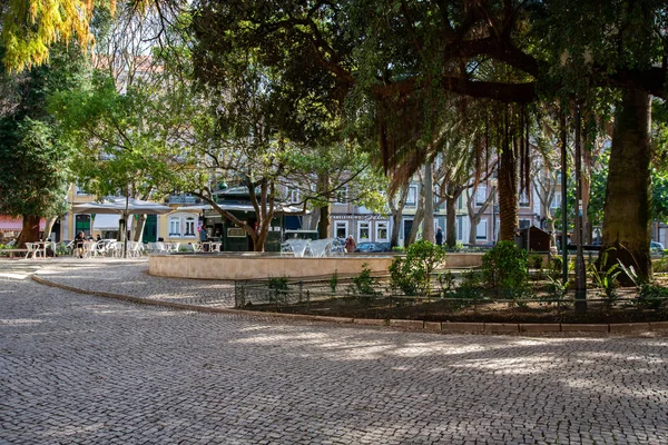 Lisboa Portugal Fevereiro 2019 Vista Para Jardim Parada Campo Ourique — Fotografia de Stock