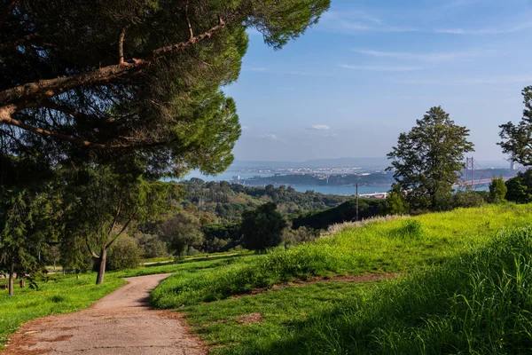 Monsanto Park Lizbon, Monsanto park Lizbon büyük yeşil alan görülmektedir.
