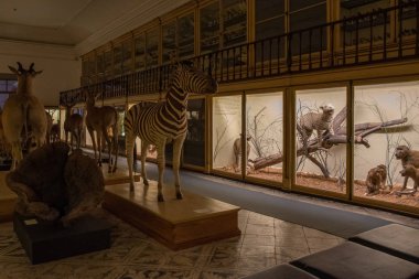 Bilim Müzesi Coimbra Üniversitesi Portekiz