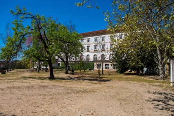 Botanic garden of the Coimbra University in Portugal — Stock Photo, Image