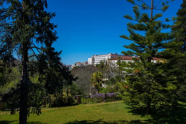 Ботанический сад Коимбрского университета в Португалии — стоковое фото