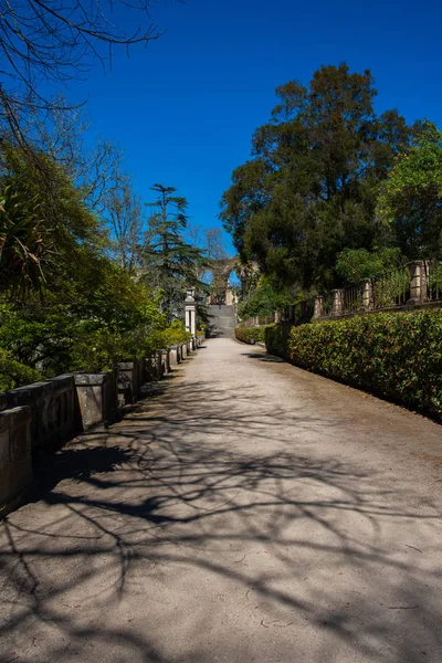 Jardín botánico de la Universidad de Coimbra en Portugal — Foto de Stock