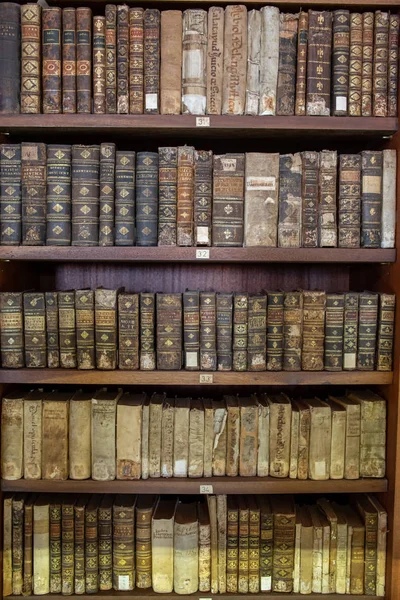 Biblioteca da Universidade de Coimbra em Portugal — Fotografia de Stock