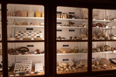 Bilim Müzesi Coimbra Üniversitesi Portekiz