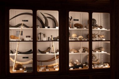 Bilim Müzesi Coimbra Üniversitesi Portekiz