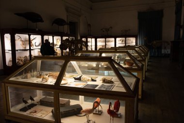 Bilim Müzesi Coimbra Üniversitesi Portekiz