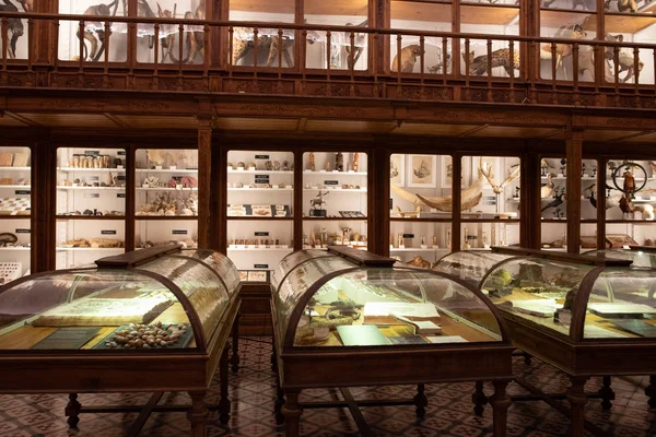 Bilim Müzesi Coimbra Üniversitesi Portekiz