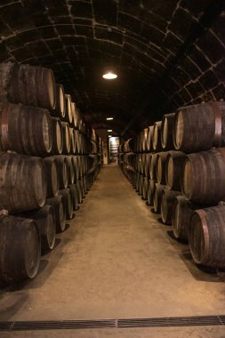 Porto Portekiz Porto şarap mahzenleri